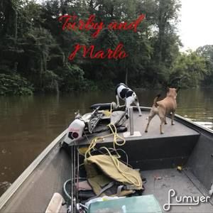 Meet your Posher, Mary